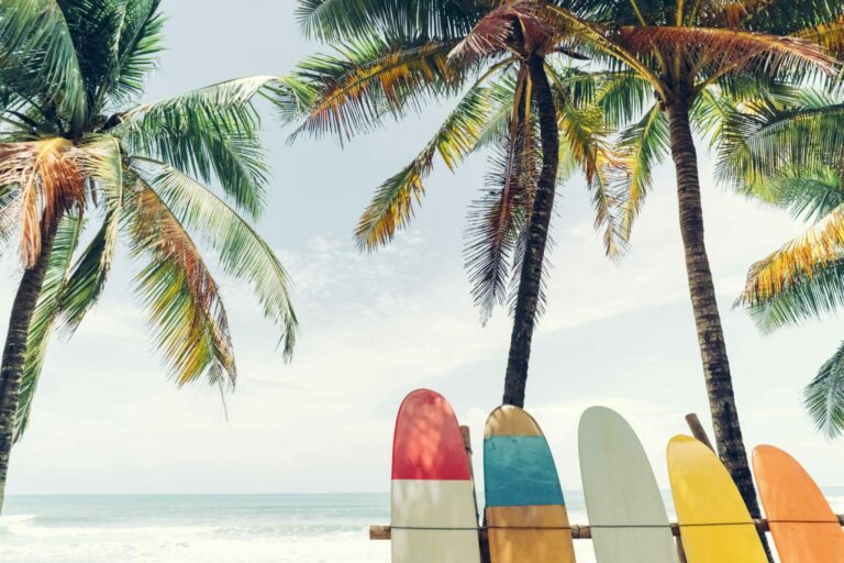 A row of surfboards on the beach