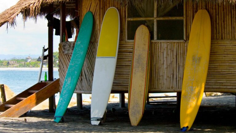 The Surfing Scene