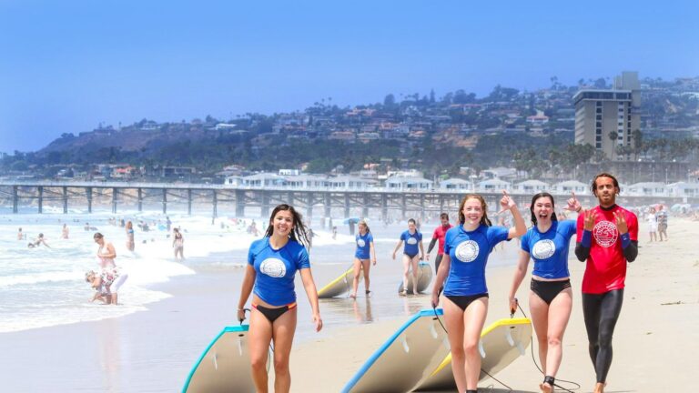 Surf Schools