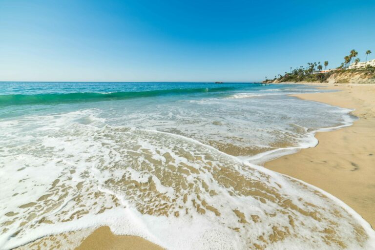 Shoreline of a California beach.