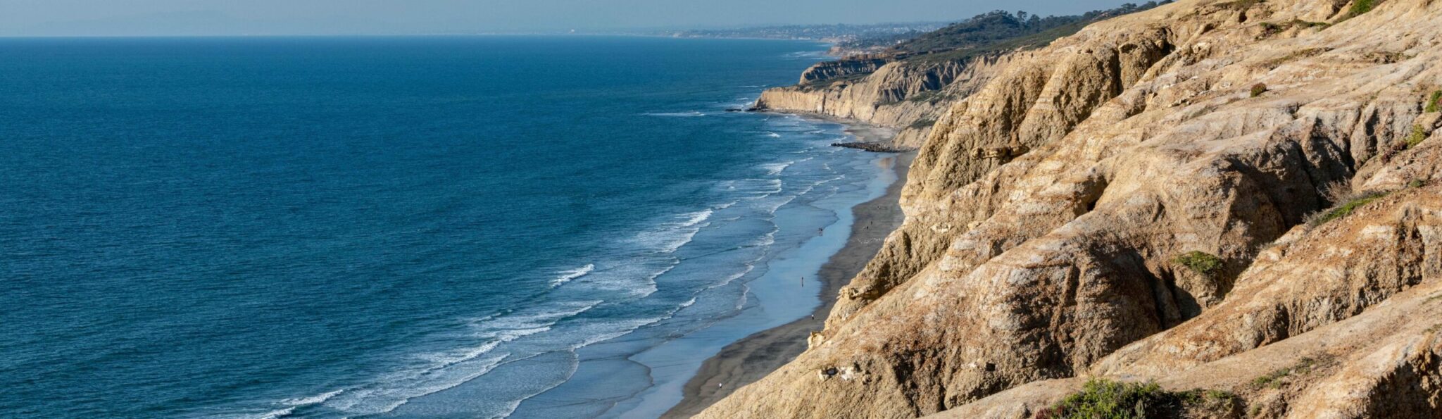 Aerial view of Black's Beach