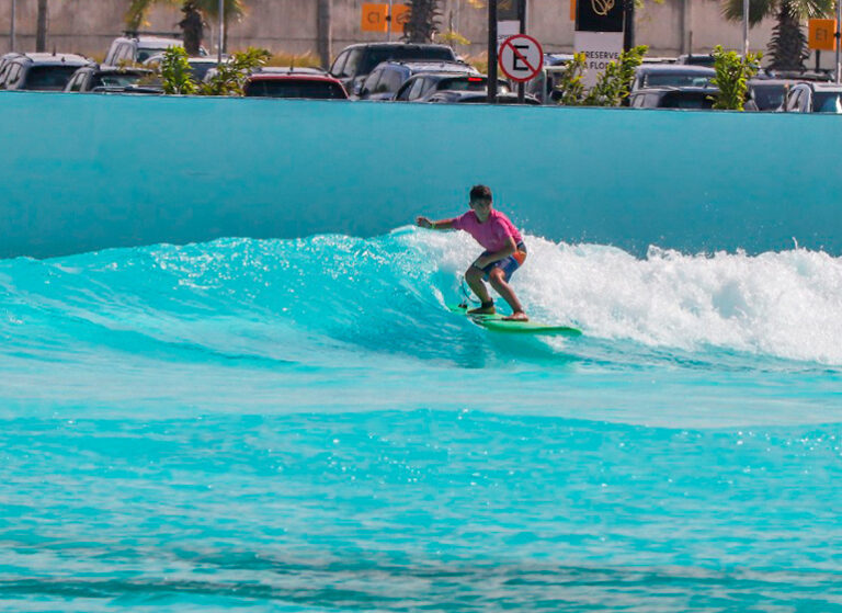 Evolution Surfer