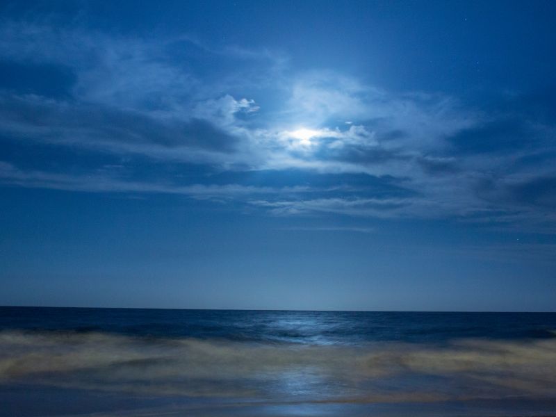 Moonlit Waves