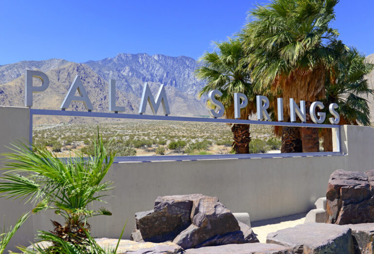 Palm Spring Surf Club