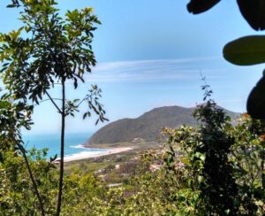 Praia da Silveira - SC