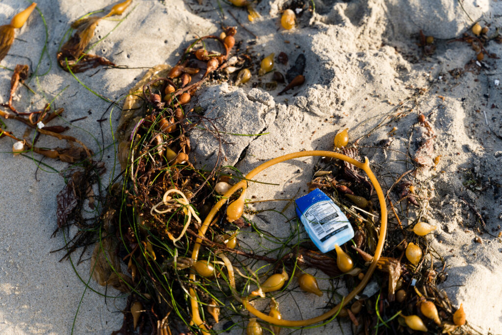 Trash on the sand 