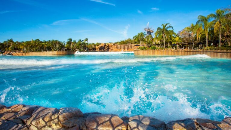 Typhoon Lagoon's wave pool 2