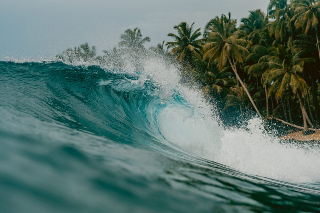 Wave with vegetation in the background